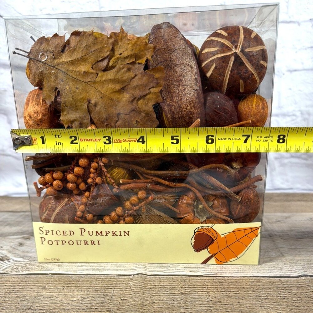 Spiced Pumpkin Potpourri World Market Fall Harvest Home Table Décor Bowl Filler - Picture 9 of 10
